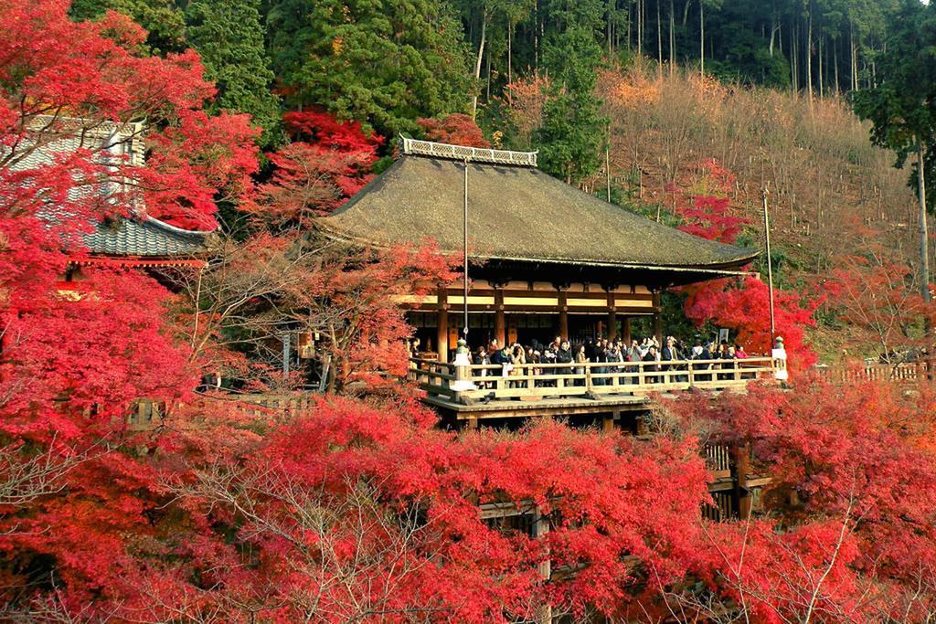 Rin Kyoto Kinkaku-Ji Temple Βίλα Εξωτερικό φωτογραφία